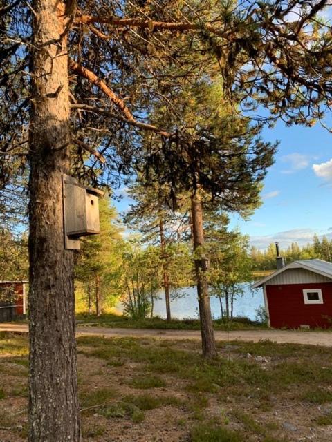 Off-Grid Cabin In Nattavaara Lapland ภายนอก รูปภาพ