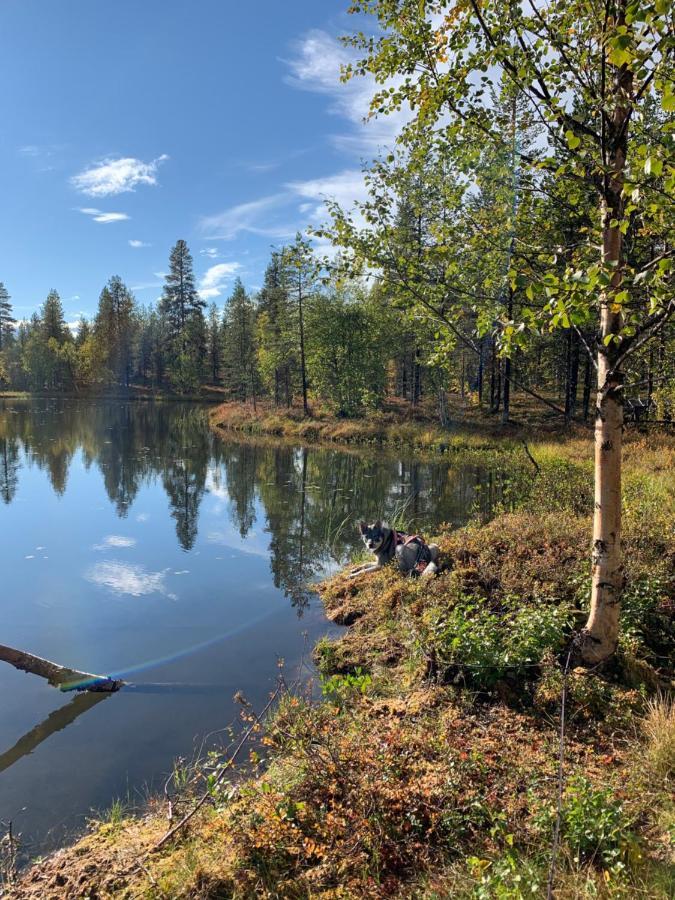 Off-Grid Cabin In Nattavaara Lapland ภายนอก รูปภาพ
