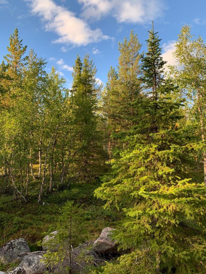 Off-Grid Cabin In Nattavaara Lapland ภายนอก รูปภาพ