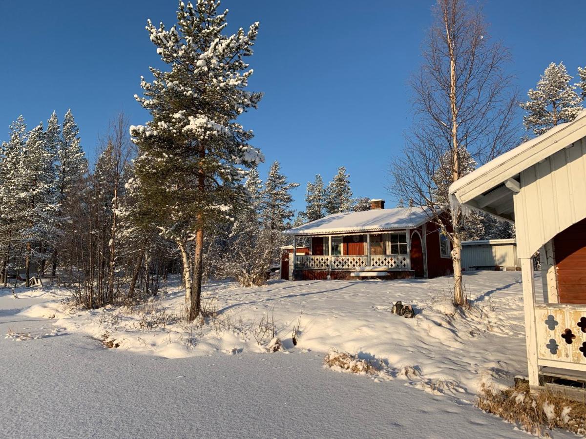 Off-Grid Cabin In Nattavaara Lapland ภายนอก รูปภาพ