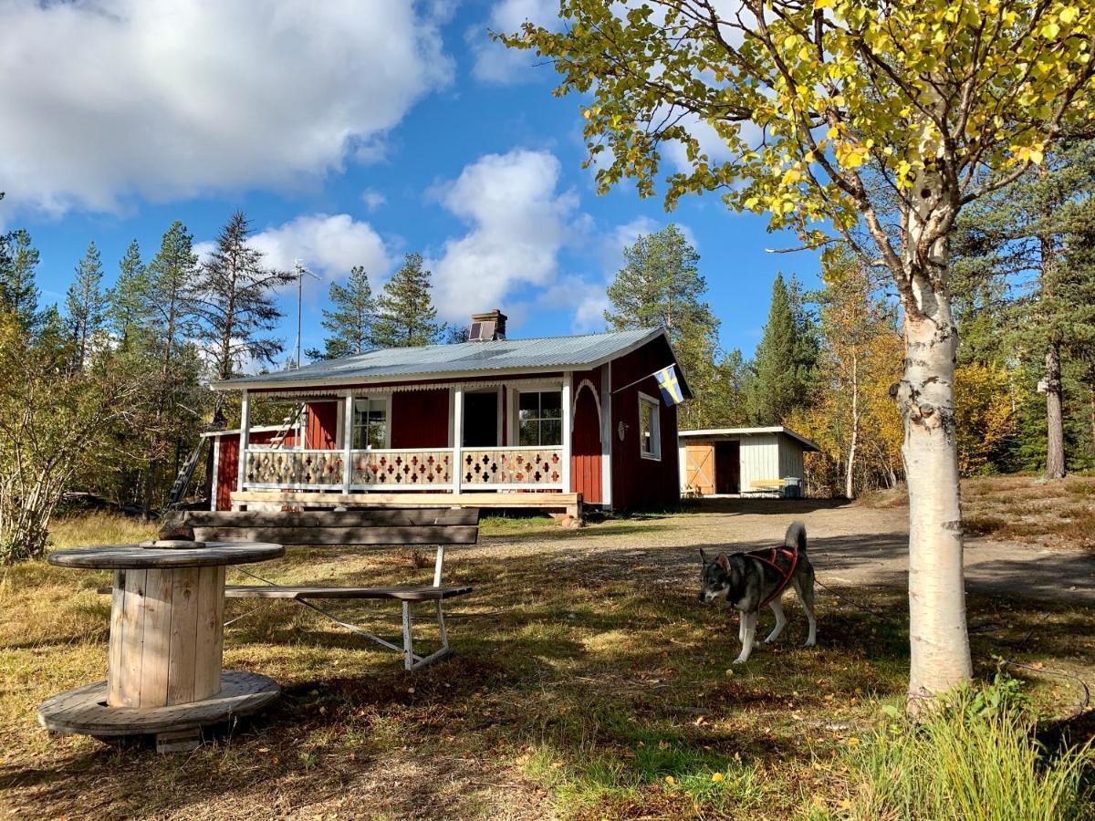 Off-Grid Cabin In Nattavaara Lapland ภายนอก รูปภาพ