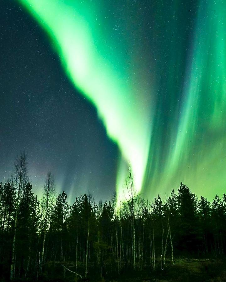 Off-Grid Cabin In Nattavaara Lapland ภายนอก รูปภาพ