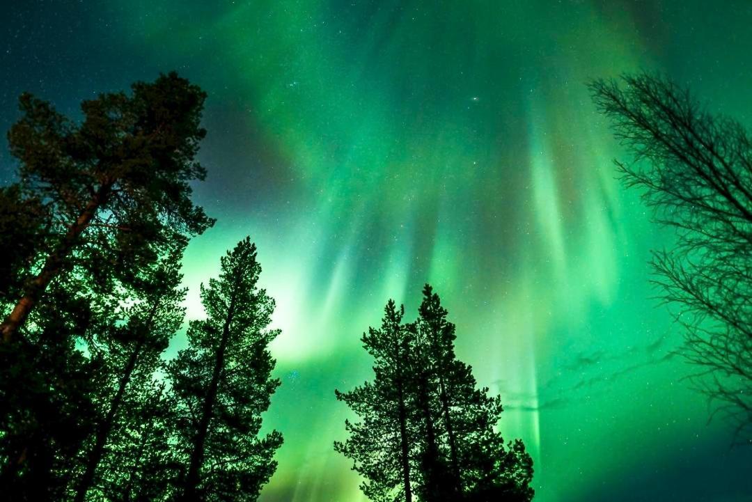 Off-Grid Cabin In Nattavaara Lapland ภายนอก รูปภาพ